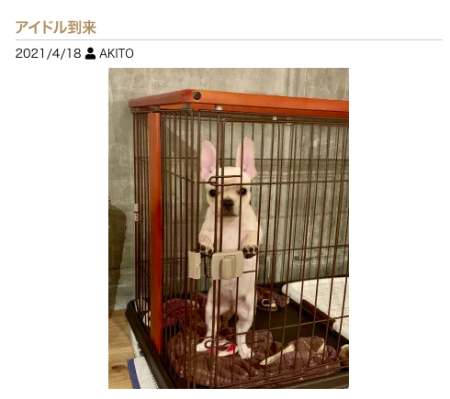 これはキュンです♡セラピの激カワペットが大集合！Part2
